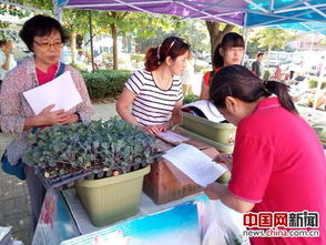 北京农业在社区活动举办 专家教你手机种菜阳台种菜