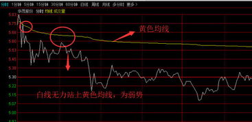 华茂股份今天的走势怎么这么奇怪…谁能解释一下其中的奥妙