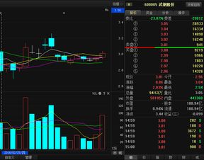 股票账户里的武钢股份今天没有了也没有显示宝钢股份，也没有显示钱，