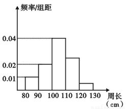 为了了解一片经济林的生长情况.随机测量了其中 100株树木的底部周长 单 位 cm .根据所得数据画出样本的频率分布直方图.那么在这100株树木中.底 部周长小于110cm的有 