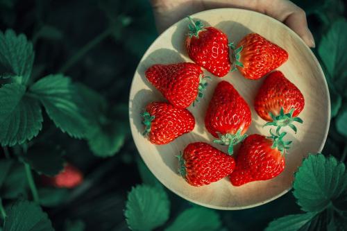 种草莓是什么意思 男友为什么要留吻痕 