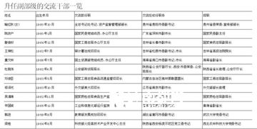 媒体称首批66名中央下派干部中12人升副部级