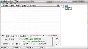 叹号批量修改文件名绿色版1.0 批量修改文件名官方版下载 文件管理 下载之家 