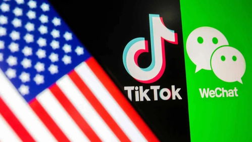 在国内苹果手机TikTok怎么使用详细步骤_TikTok企业广告帐户开户咨询