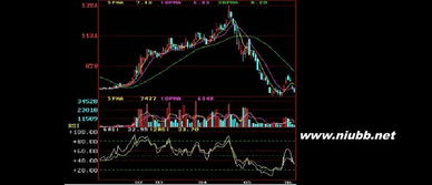 介绍炒股的基本要点 具体点 如是需要的基本知识。