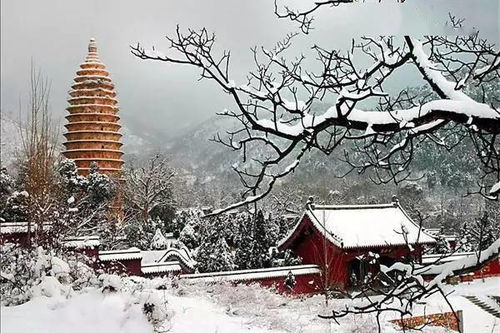 24节气,不一样的美,超强旅游攻略,这样的河南值得你来 景点 