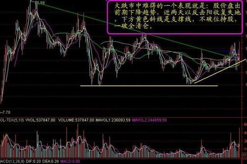 请问在那里可以看到股票当天有大资金流入？