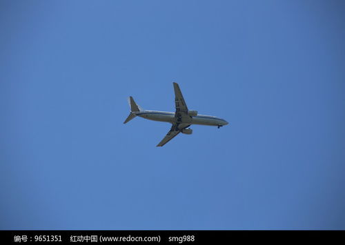 飞机飞翔在蓝天高清图片下载 红动网 