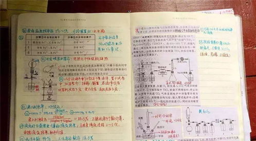 小学升初中后,学习方法和学习习惯一成不变,会吃大亏