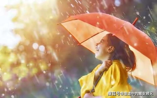 描写三月的雨的句子-图2