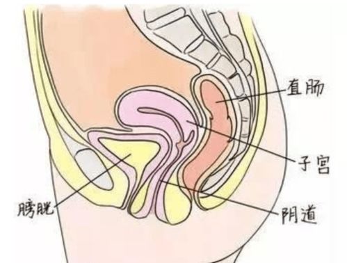 女性长时间泡在暴雨中,污水会灌入阴道吗 怎么清洗 牢记4点