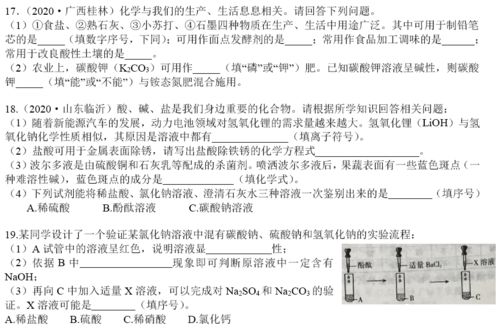 初中化学 盐的重要知识整理 19道中考真题