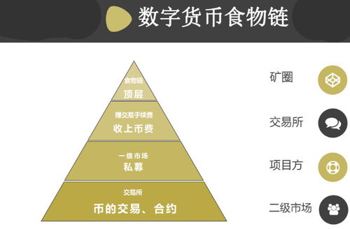 ipfs市值多少—ipfs在中国一共有多少家公司