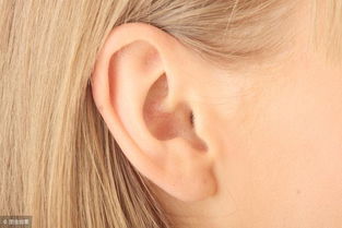 耳朵很重要,平时要注意保健