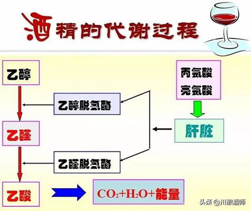 盘点10个白酒冷知识,知道的人很少,建议收藏