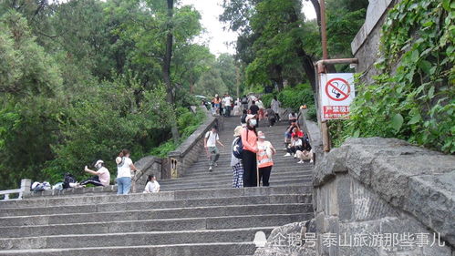 泰山旅游集团工资