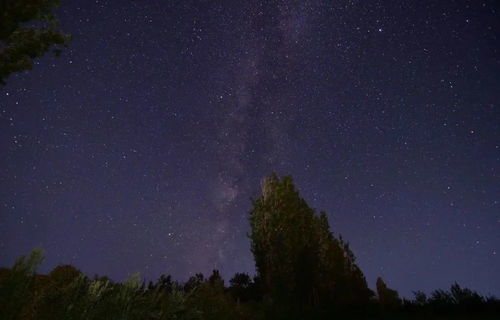 与十二星座女孩交往,分别注意什么 看看怎么走进她们的心