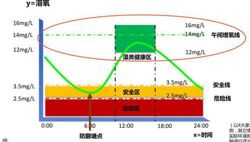 为什么氧化池后部的溶氧量会比前部高