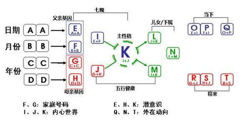 抖音生命数字怎么计算