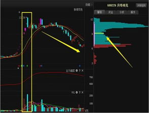 天量？地量？底部放量?什么意思啊？