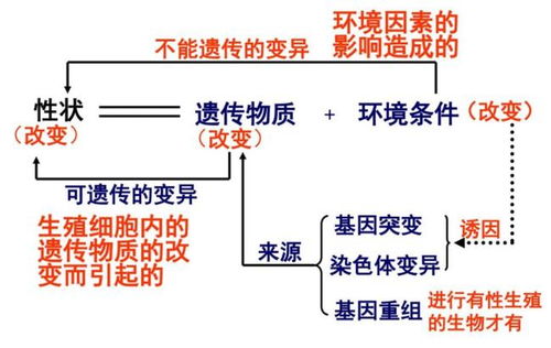 为什么大多数雄性动物的交配和排泄共用一个器官,人类却不是