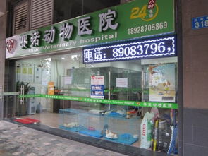 广州哪里有24小时的宠物医院啊 