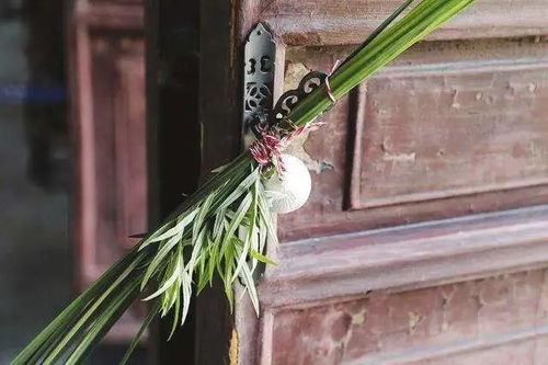 艾草与菖蒲 还生活一份自然