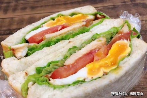 为什么汉堡有荤有素就是 垃圾食品 而三明治却是营养快餐