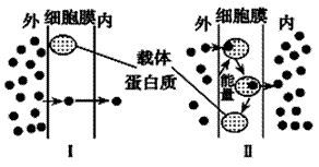 如图所示为物质进出细胞的两种方式,对该图的正确理解是 