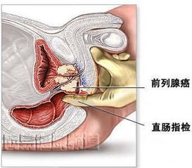 滴白 搜狗百科 