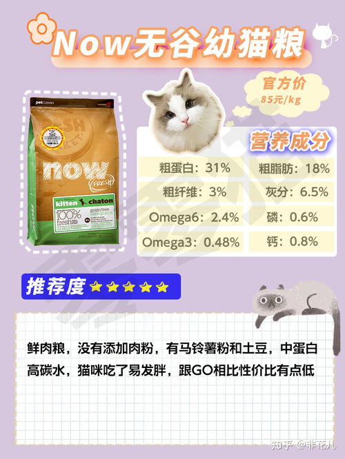 口碑猫粮推荐 12款性价比高品牌猫粮评测 