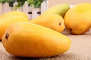 搜狐公众平台 印度官员检获720公斤化学催熟的芒果 