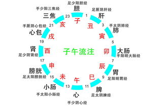 丑宫求子亥卯子时见生身解签