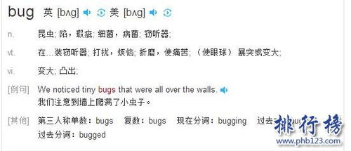 bug是什么意思,说人bug是什么意思 你就是个bug