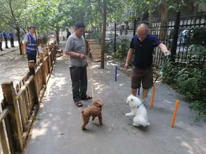 杭州首个遛狗专区亮相,杭州首个建设文明遛狗专区 