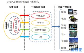 关于股票遗产的问题