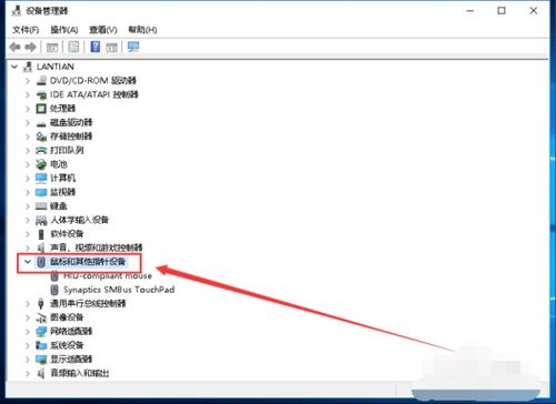 win10系统华硕电脑触摸板不能用了