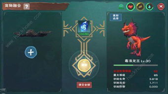 创造与魔法怎么合成出高级宠物 创造与魔法稀有宠物合成技巧 