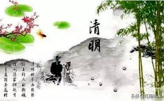 清明节,故人不在,难以踏上归途