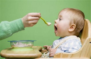 1岁以下宝宝们吃的菜不要放盐哦 