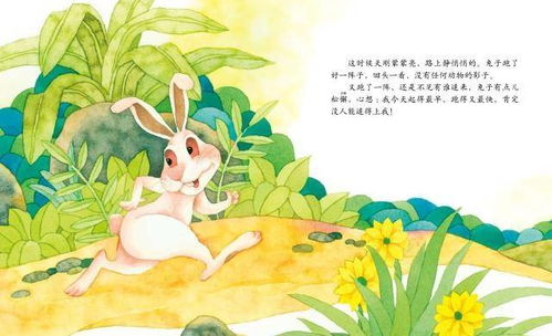 兔对应哪个时辰 绘本中华故事 十二生肖 兔 生肖文化知识