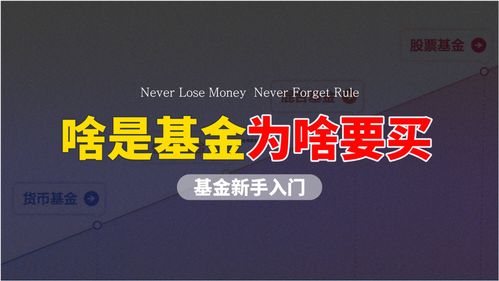 货币基金怎么买才赚钱