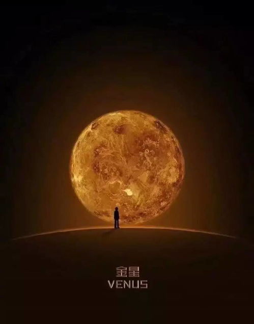 木星二宫金星五宫代表什么