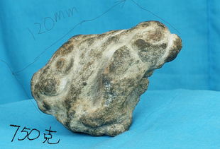 形状奇特比鹅卵石重,不知是什么石头 
