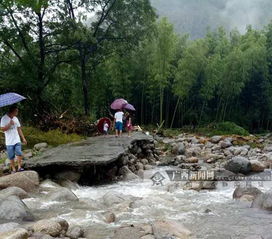 桂林多地突发洪水 部分公路中断乡村被淹 组图