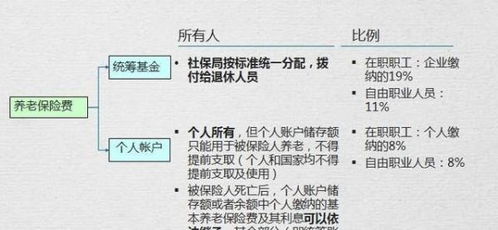 社会保险法第十七条解读中华人民共和国社会保险法 2018修正 