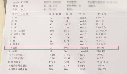 肌酐700以上就必须透析吗 且慢 别把肾功能透没了