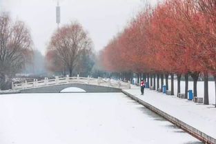 邂逅 2019的第一场雪