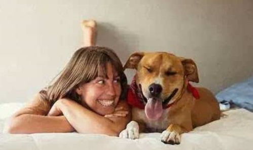养一只聪明的狗狗很幸福,狗狗能做出这些行为,说明它比较聪明