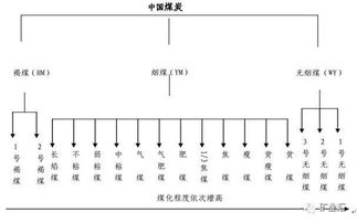 2016年最新的中国煤炭资源储量及分布现状